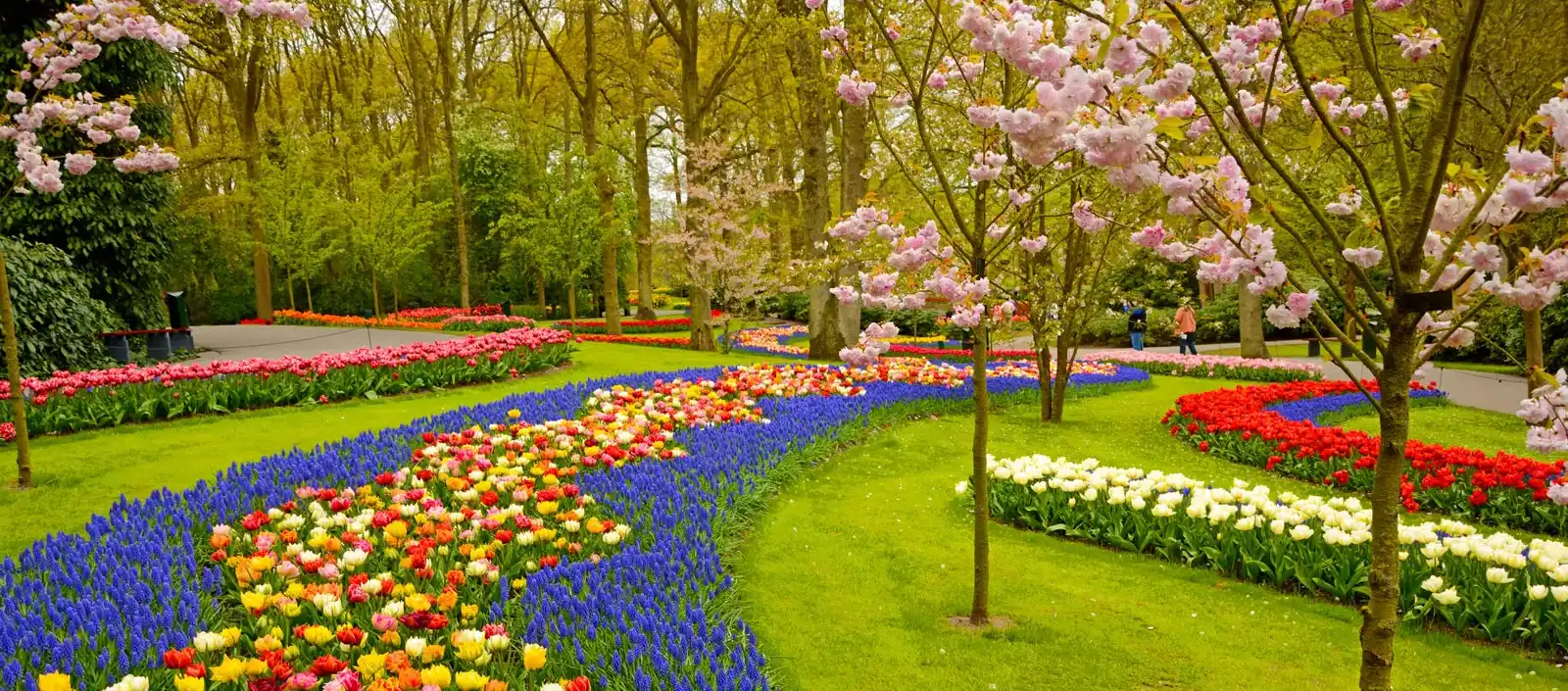 Embrace Sustainable Lawn Care Practices Embrace Sustainable Lawn Care Practices