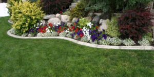 Top 10 Landscaping Mistakes to Avoid at All Costs