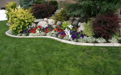 Top 10 Landscaping Mistakes to Avoid at All Costs