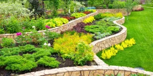 Plants for Landscaping