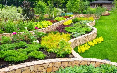 How To Create A Sustainable Landscape